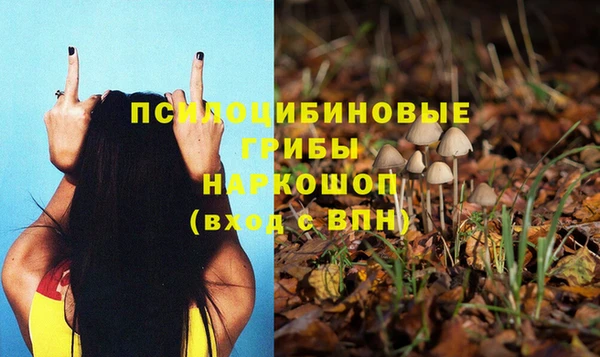 гашик Ладушкин