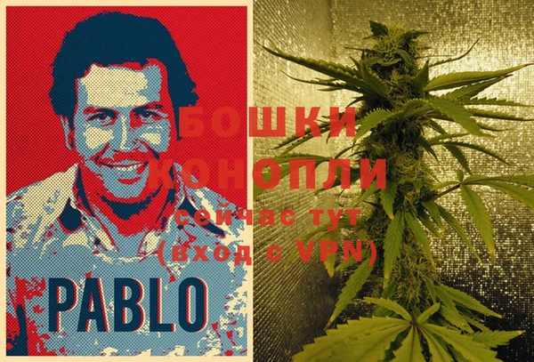 винт Лабытнанги