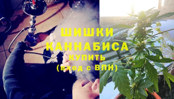 МДПВ Медногорск