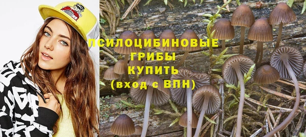 ECSTASY Новосибирск