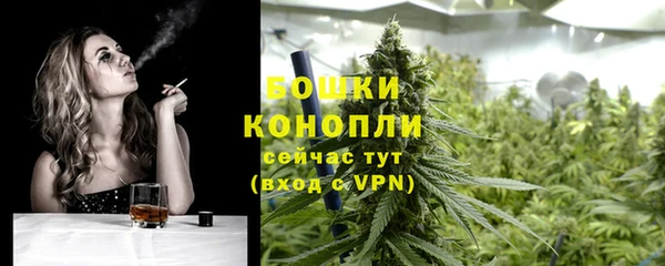 гашик Ладушкин