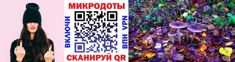 Галлюциногенные грибы Psilocybe  Королёв 